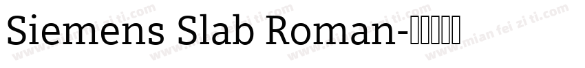 Siemens Slab Roman字体转换